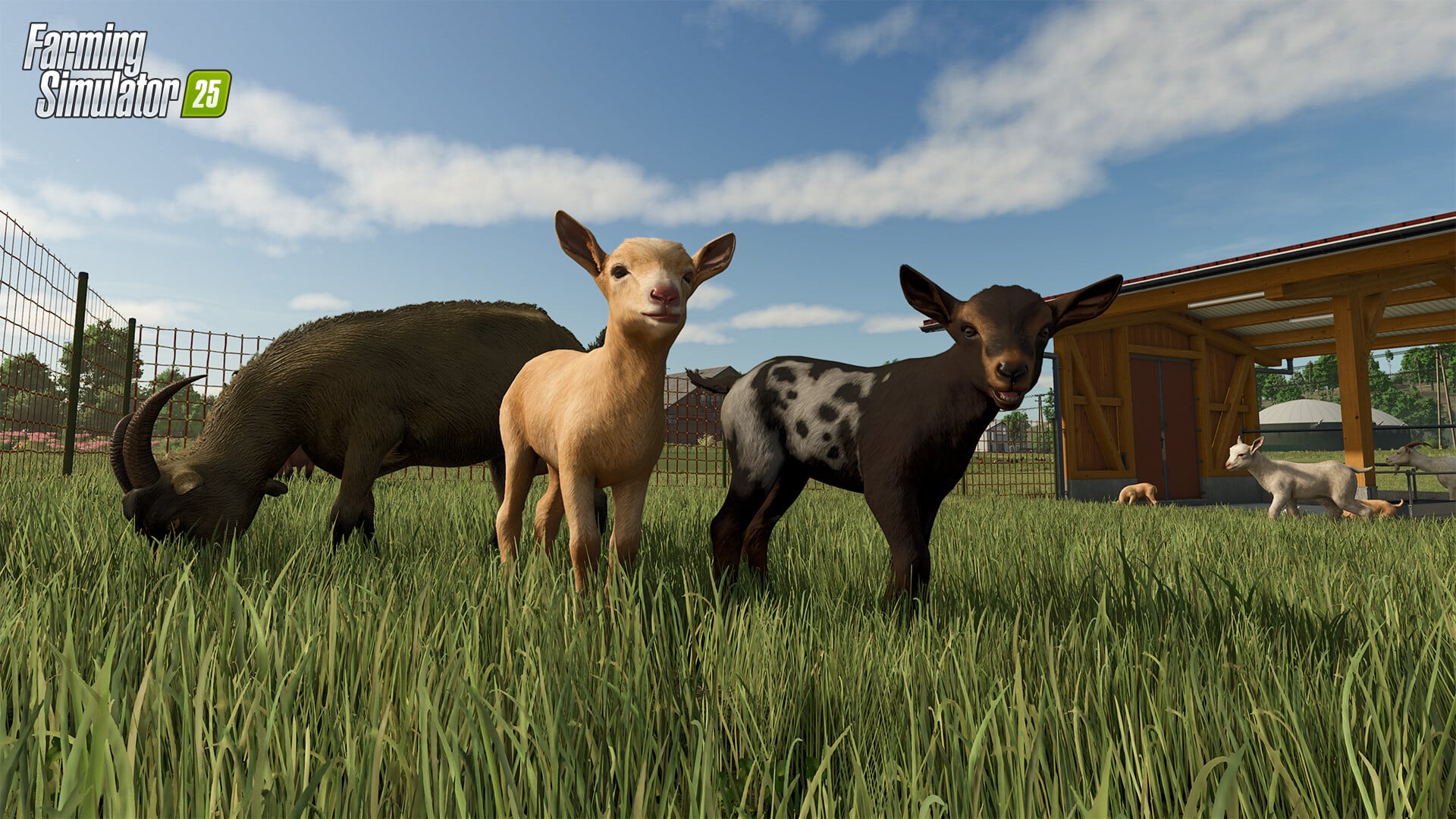 Farming Simulator 25 4