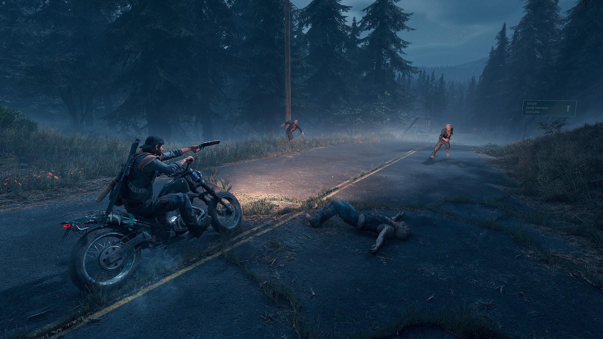 Days Gone 3