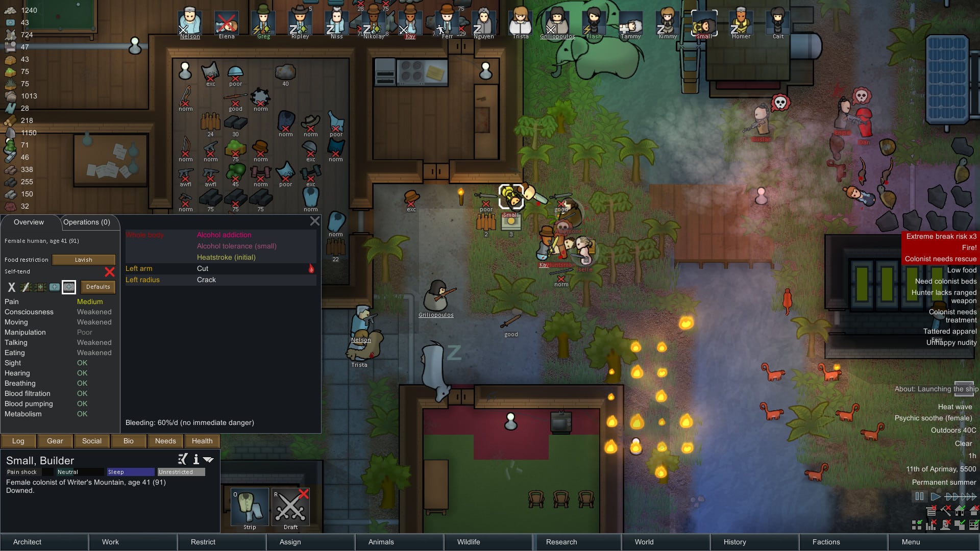 RimWorld 3
