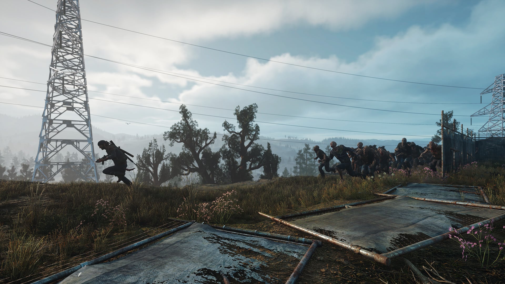 Days Gone 1